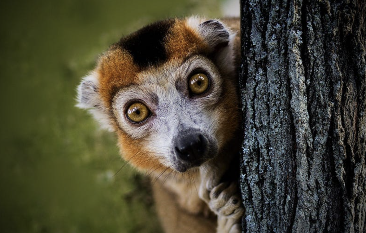 The Part of You Trying to Improve Might Be What Needs Improving