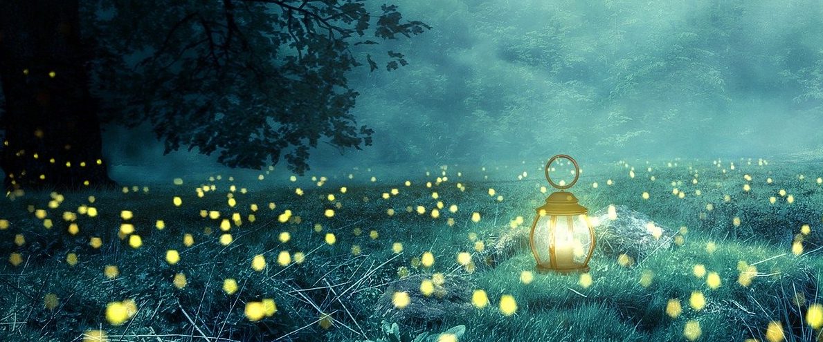 lantern in forest