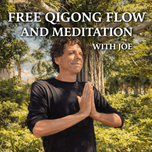 Learn Qigong with Joe - Free Lesson and Meditation